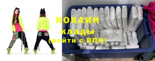 кокс Алексин