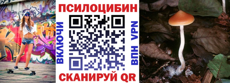 наркотики  Бакал  Псилоцибиновые грибы Psilocybine cubensis 