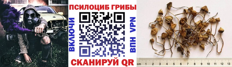 Галлюциногенные грибы мухоморы Бакал